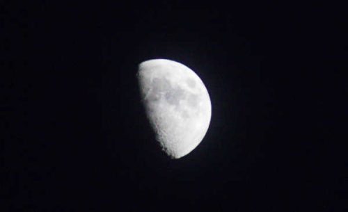 IMG 96572